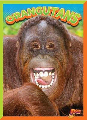 Cover of Orangutans