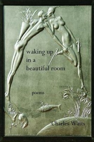 Cover of Waking Up in a Beautiful Room