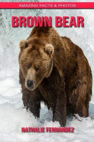 Cover of Brown Bear