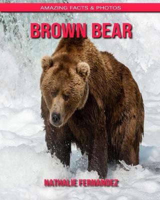 Book cover for Brown Bear