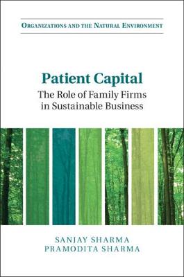 Book cover for Patient Capital