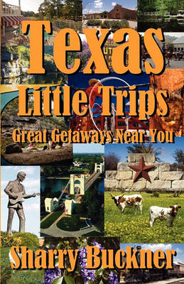 Book cover for Texas Little Trips