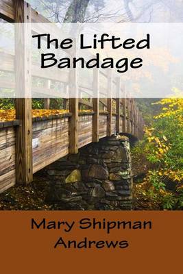 Book cover for The Lifted Bandage