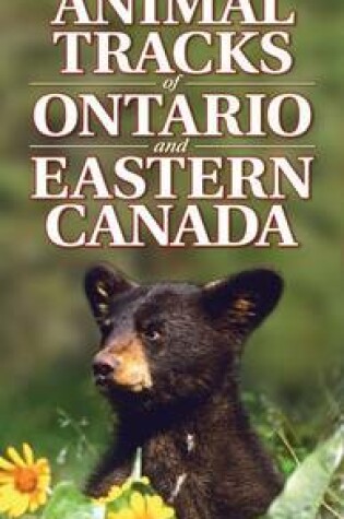 Cover of Quick Reference to Animal Tracks of Ontario and Eastern Canada