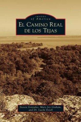 Cover of Camino Real de los Tejas