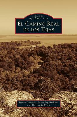 Book cover for Camino Real de los Tejas