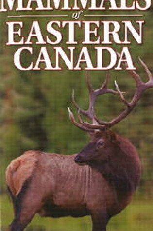 Cover of Quick Reference to Mammals of Eastern Canada