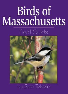 Book cover for Birds of Massachusetts Field Guide