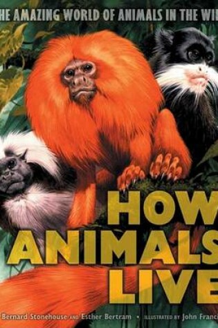 Cover of How Animals Live