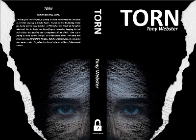 Book cover for TORN