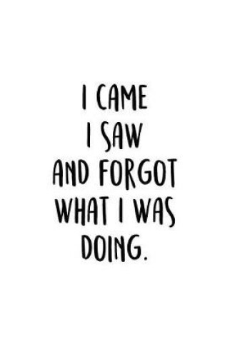 Cover of I Came I Saw And Forgot What I Was Doing.