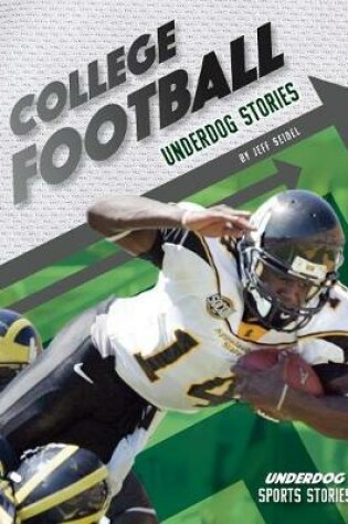 Cover of College Football Underdog Stories