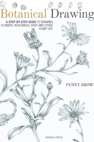 Cover of Botanical Drawing