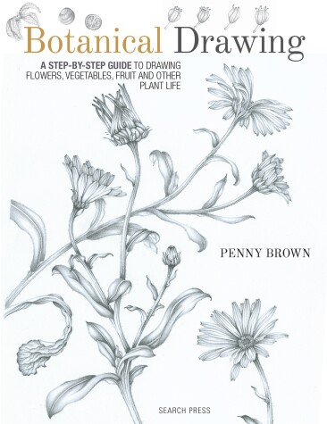 Book cover for Botanical Drawing