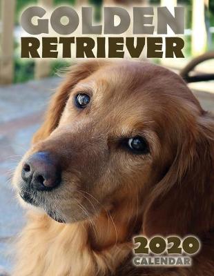 Book cover for Golden Retriever 2020 Calendar