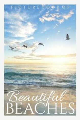 Cover of Picture Book of Beautiful Beaches