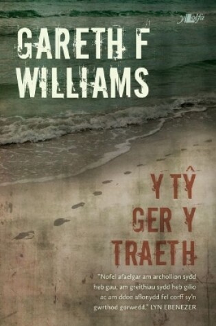 Cover of Y Tŷ Ger y Traeth