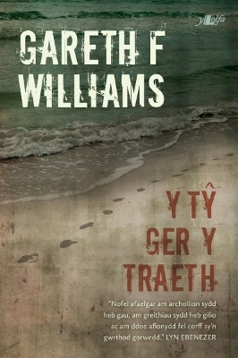 Book cover for Y Tŷ Ger y Traeth