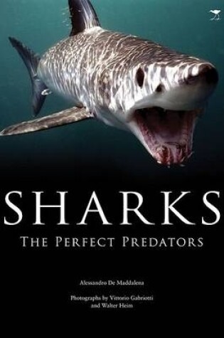 Cover of Sharks