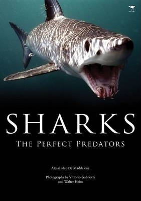 Book cover for Sharks