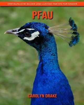 Book cover for Pfau