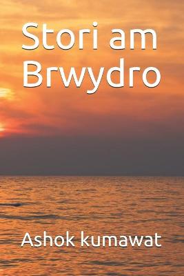 Book cover for Stori am Brwydro