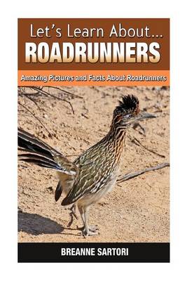 Book cover for Roadrunners