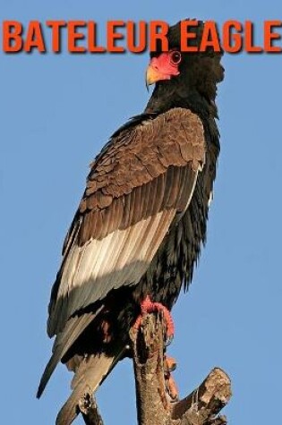 Cover of Bateleur Eagle