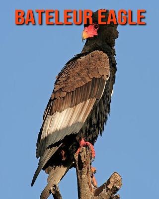 Book cover for Bateleur Eagle