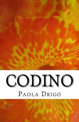 Book cover for Codino