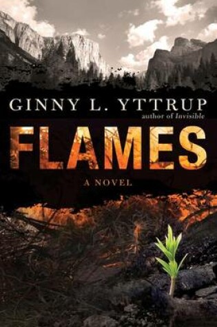 Cover of Flames