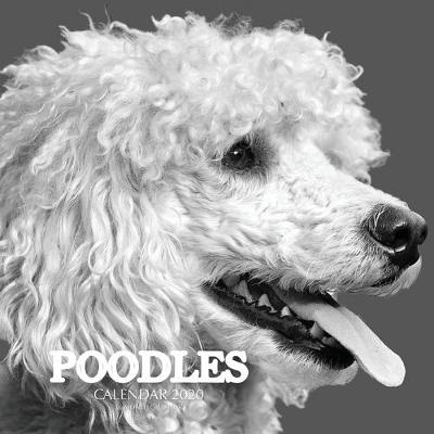 Book cover for Poodles Calendar 2020