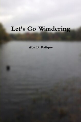 Cover of Let's Go Wandering