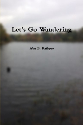 Book cover for Let's Go Wandering