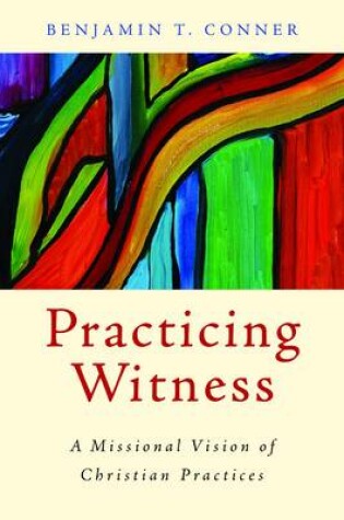 Cover of Practicing Witness