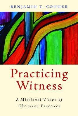 Book cover for Practicing Witness