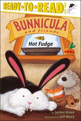 Book cover for Hot Fudge