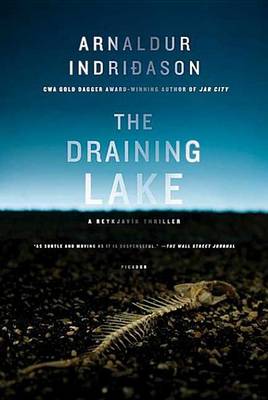 Book cover for The Draining Lake