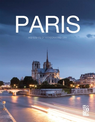 Book cover for The Paris Book