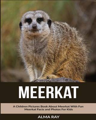 Book cover for Meerkat