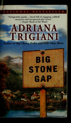 Book cover for Big Stone Gap