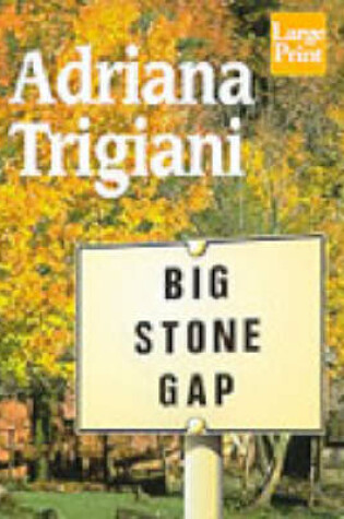 Cover of Big Stone Gap