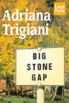 Book cover for Big Stone Gap
