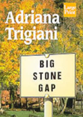 Book cover for Big Stone Gap