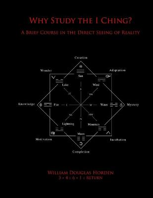 Book cover for Why Study the I Ching?