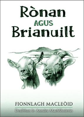 Book cover for Rònan agus Brianuilt