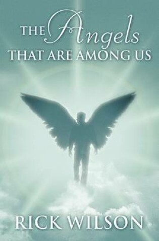 Cover of The Angels That Are Among Us