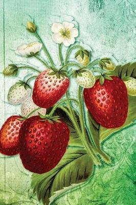 Book cover for Strawberries Vintage Art Journal