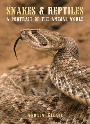 Book cover for Snakes & Reptiles
