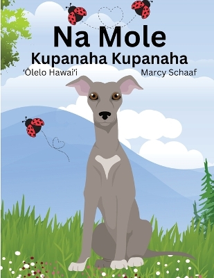Book cover for Na Mole Kupanaha Kupanaha (Hawaiian) Mole's Magical Adventure